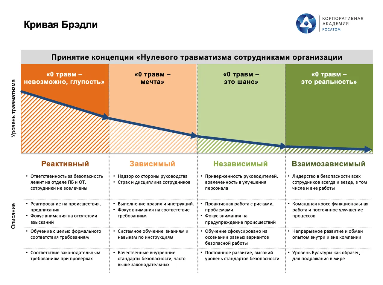 Кривая Брэдли